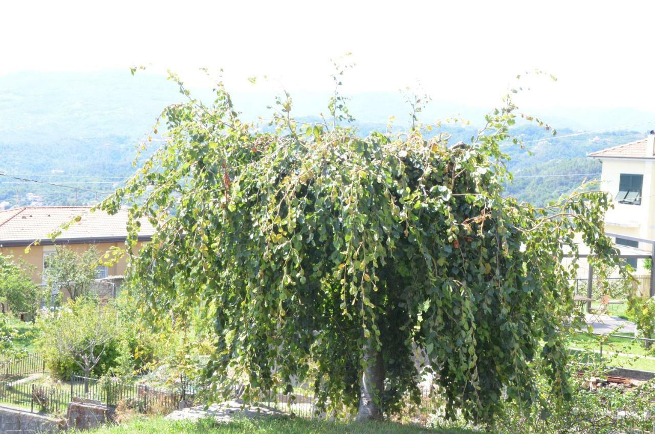 Apartmán La Casa Con Vista Di Emma Vezzano Ligure Exteriér fotografie